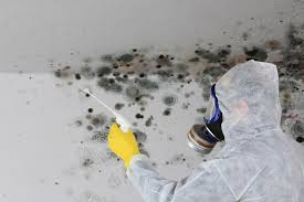 Best Mold Prevention Services  in La Mirada, CA